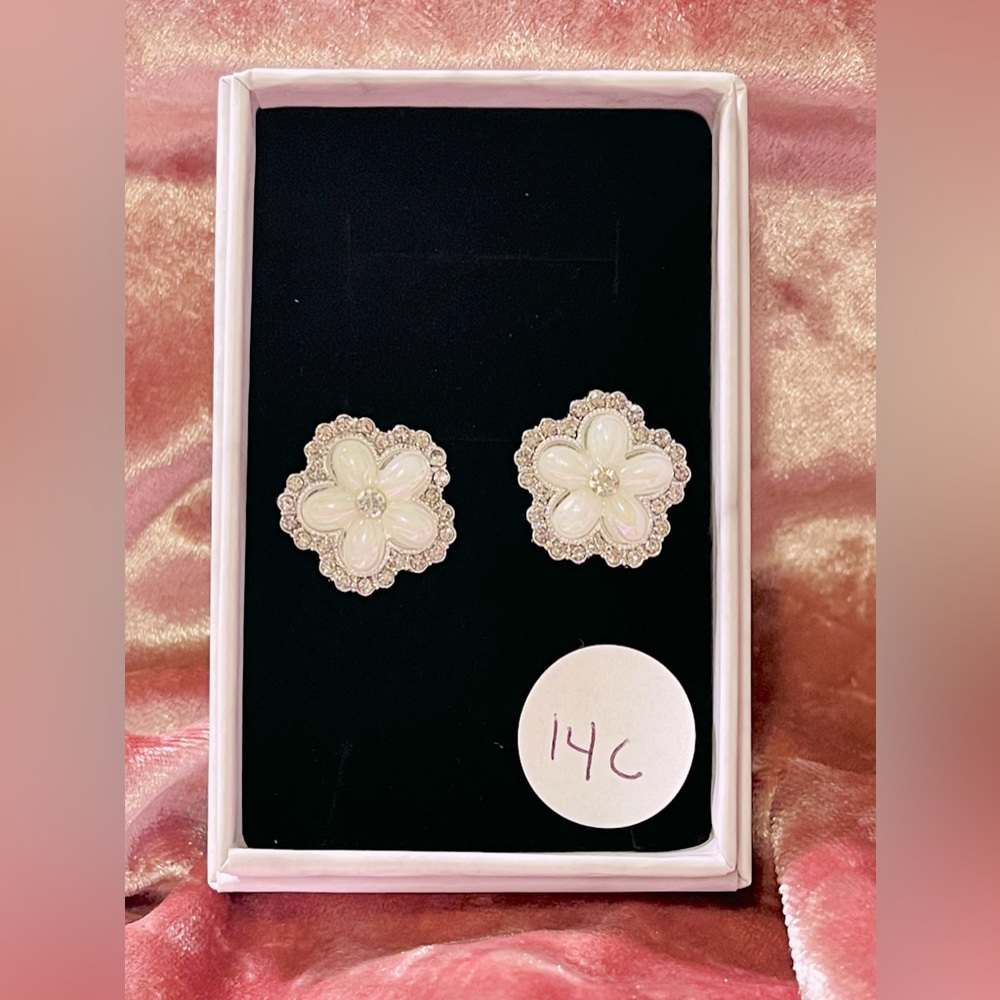 Fashion Stud Earrings #14c